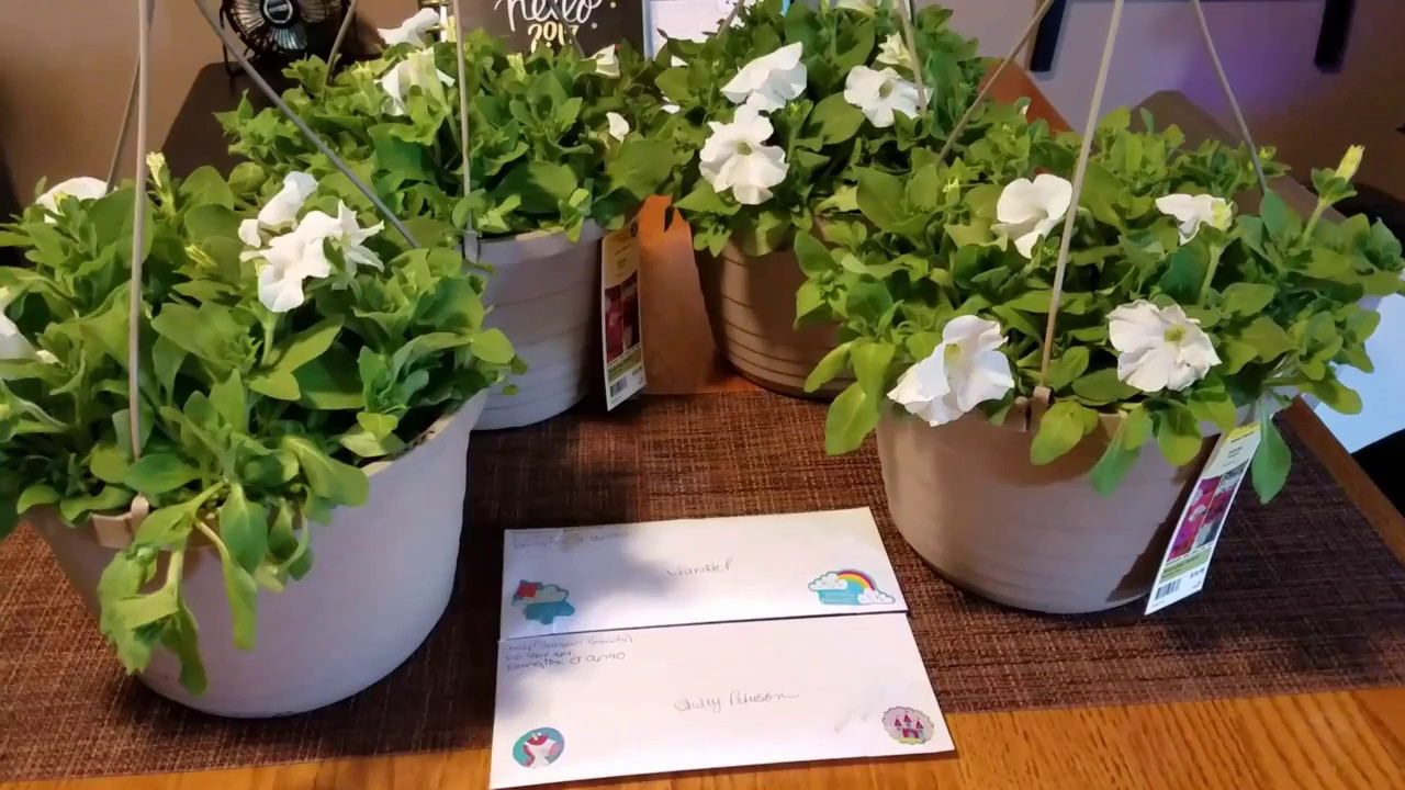 Lowes Flower Sale and Giveaway Winners YouTube