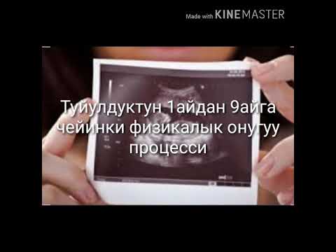 Video: Кош бойлуулук учурунда кайсы жемиштер эң пайдалуу