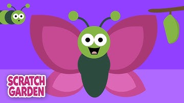 The Life Cycle of a Butterfly | Biology & Natural Science Videos | Parts of a Plant & More!