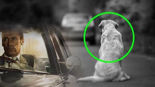 Rich Man Abandoned a Pregnant Dog in the Street, a Kind Man Found Her and Did Something Unexpected!