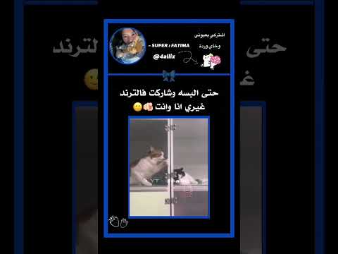 4 حتى البسه شاركت فالترند      7  