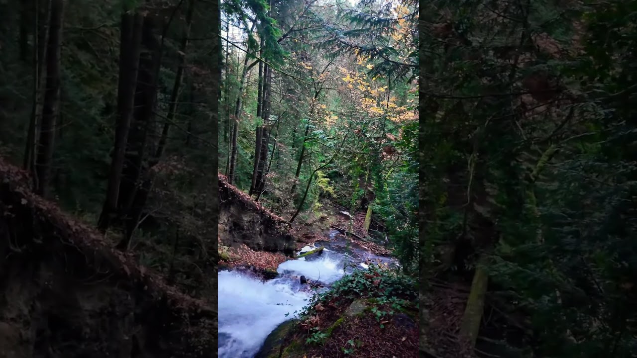 Nanaimo's Hidden Waterfalls Are Incredible