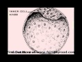 Blastocyst Stage - Fertility Road Magazine