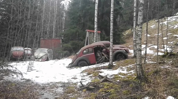 Abandoned Volkswagen graveyard - Lots of old VW Beetles