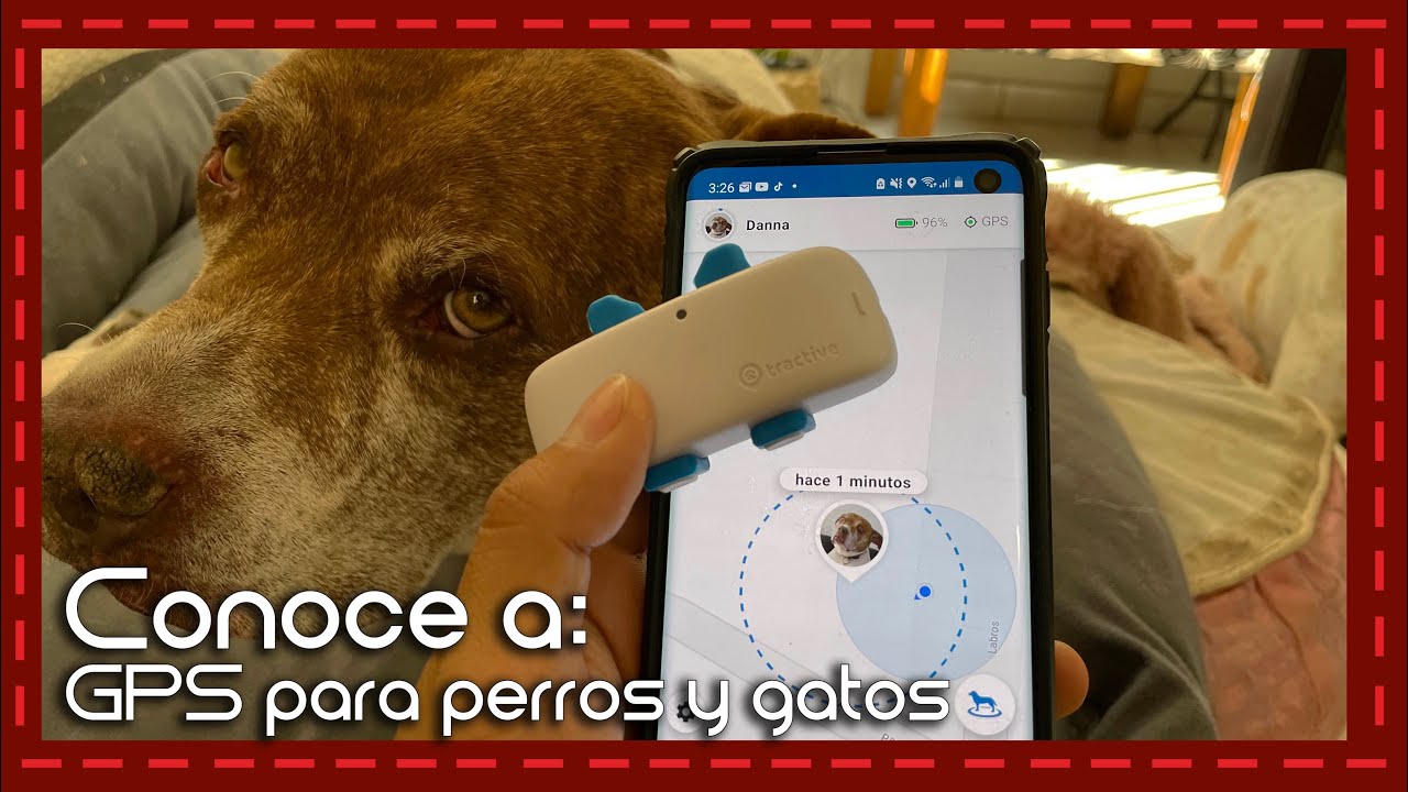 Tractive DOG 4 - Localizador GPS para perros