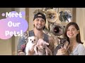 Meet Our Pets! || Billy and Coleen