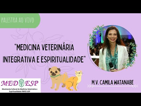 Vídeo: 3 Tratamentos Alternativos De Cuidados Veterinários A Considerar