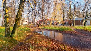 влог - примерки, книги, ароматы и где их купить