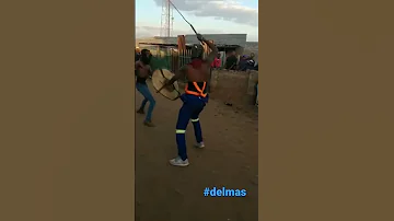 Iswazi By Petros Sibanyoni Delmas 