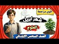 مراجعة شهر ابريل الصف السادس الابتدائي امتحان متوقع شهر ابريل