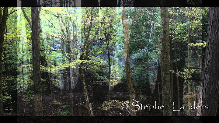 Stephen Landers