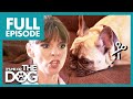 Owner Wants To Cut Her Noisy Dog&#39;s Vocal Chords😭🔉 | Full Episode | It&#39;s Me or The Dog
