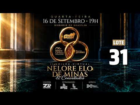 LOTE 31   REM A1211