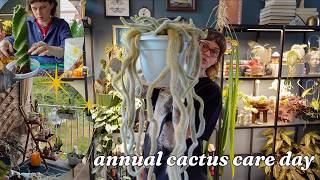 ALL of my cactus + succulents | updates, maintenance, & moving outside 🌵🌞