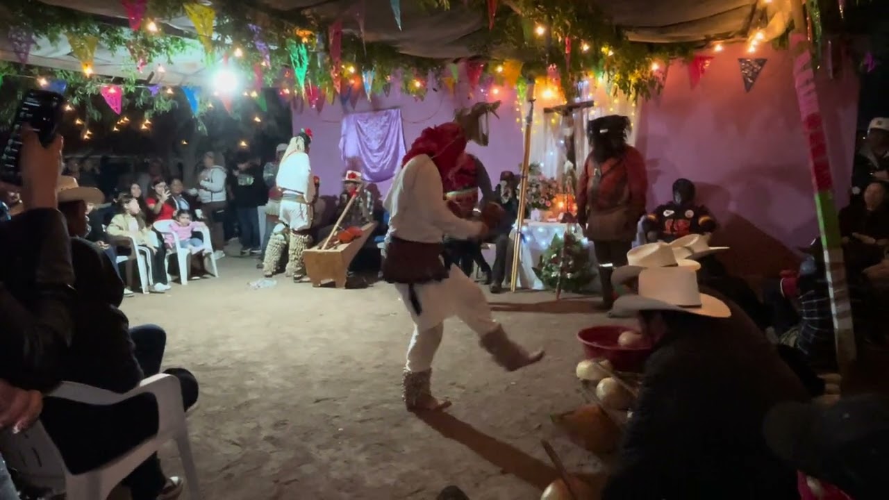 Danza del venado desde Musuabampo | fariseos del ejido Guadalupe de Juárez 