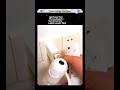 How This Tiny Projector Creates Space On Your Ceiling