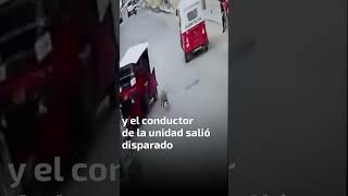 ¡Casual! Perrito “atropella” a mototaxi en Oaxaca y derriba la unidad