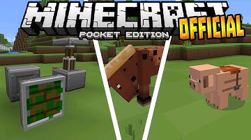 MCPE 0.15.0 OFFICIAL UPDATE!!! - Texture Packs & Realms - Minecraft PE (Pocket Edition)