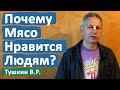 ПОЧЕМУ МЯСО НРАВИТСЯ ЛЮДЯМ? • ВАСИЛИЙ ТУШКИН