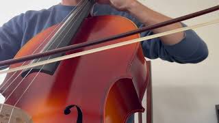 Rick Mooney - The Elephant's Waltz • Cello