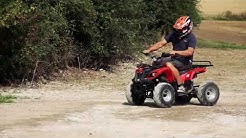 Electric Adult Quad Bikes