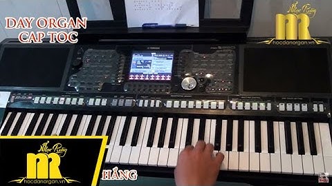 Học Đàn Organ Cấp Tốc TPHCM - TÙY HỨNG LÝ QUA CẦU- Online-Cơ Bản-Nâng Cao-★0909422006★