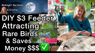 $3 DIY Feeder Attracts Small Birds to Garden HOW to Stop a Squirrel Pigeon Dove eating in Birdfeeder