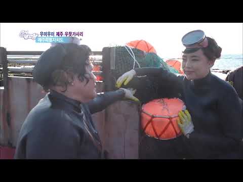 6시 내고향 - 우미우미 제주 우뭇가사리!.20190510