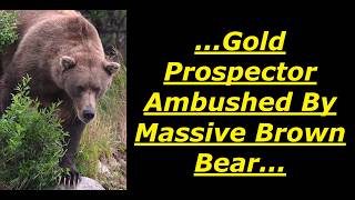 Scary Bear Attacks: King Thurman Was Prospecting For Gold & Ambushed By Giant Brown Bear