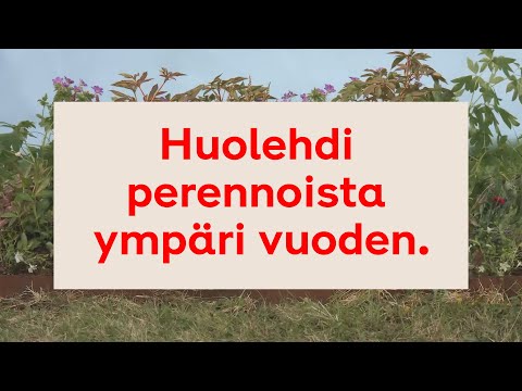 Video: Kukkapuutarhat ympäri vuoden – ympärivuotisten puutarhojen suunnittelu