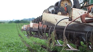Equipment and Automation Tools for Mechanical Weed Control - Virtual Field Day