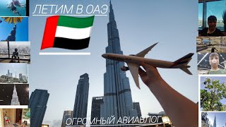 ЛЕТИМ В ОАЭ 🇦🇪🇦🇪🇦🇪. ГИГАНТСКИЙ авиавлог Про авиацию с Платоном.