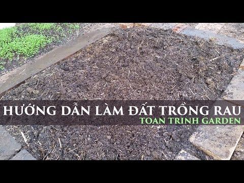 Video: Cách Chuẩn Bị Vườn Trồng Rau