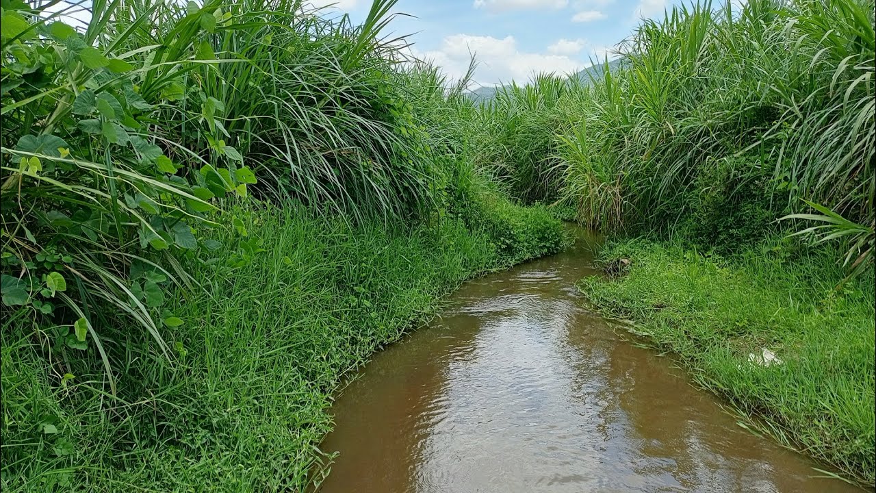 WADAU WAHIMIZWA KUCHUKUA HATUA KUENDELEA KUHIFADHI BONDE LA KILOMBERO(@Katalina691 