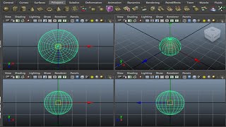 How to use the interface in Maya - The Orthographic interface