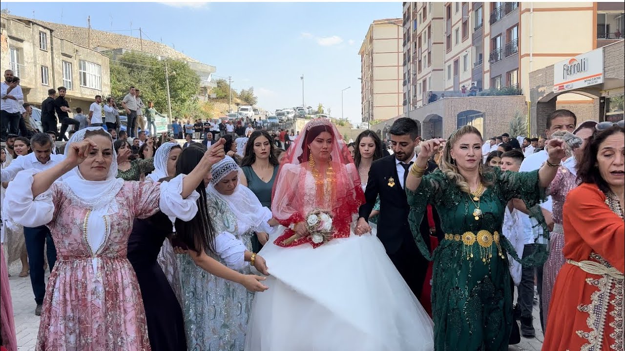 DILUVAN DEMİR  DÜĞÜNÜ Par1 2023 #şirnakdüğünleri