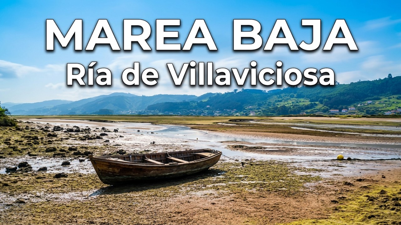 MISIEGO: El espectáculo de la marea baja en la Ría #villaviciosa #riavillaviciosa