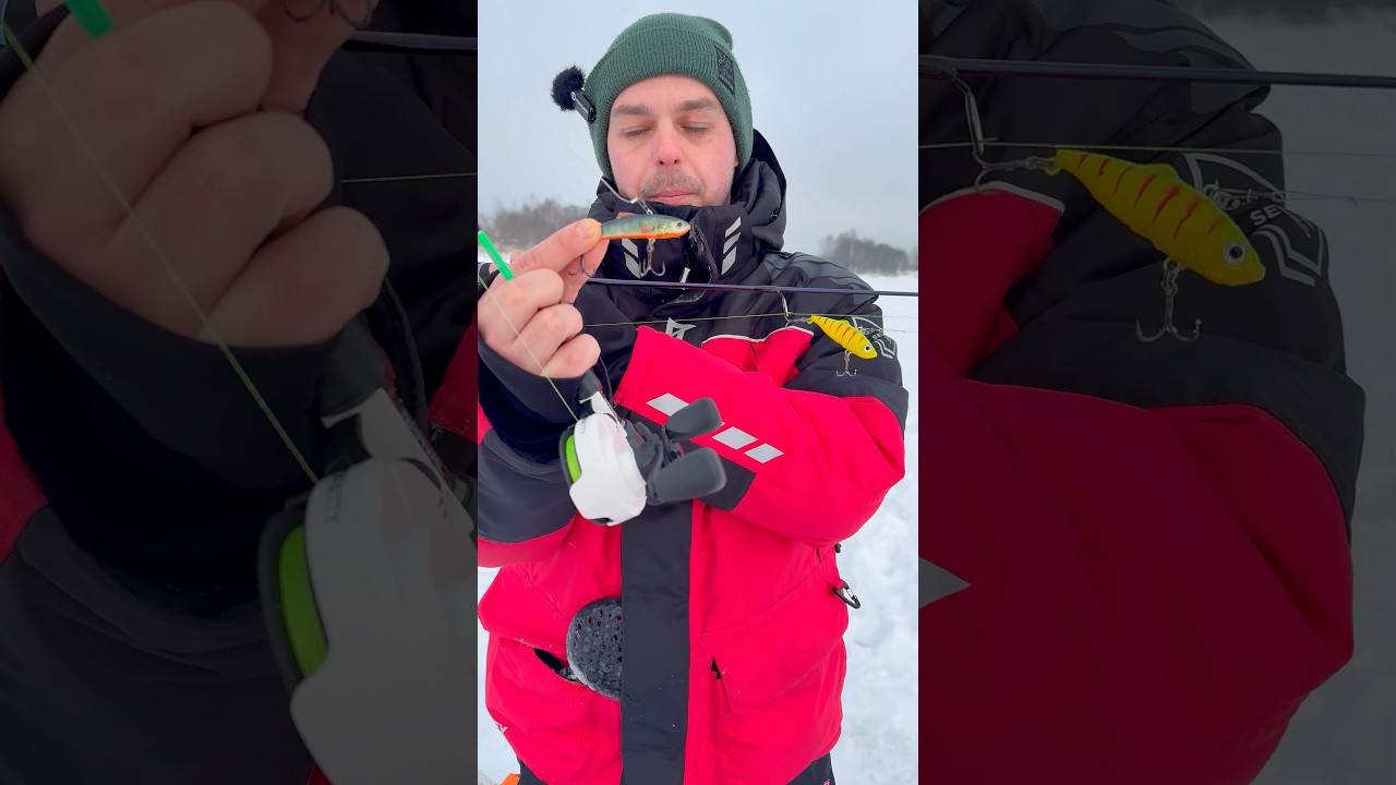 Отличия раттлина от виба 