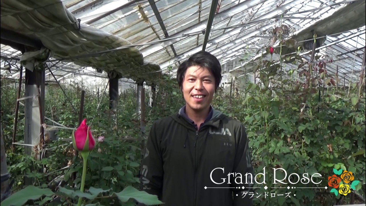 バラ園 店長紹介 Grand Rose平原バラ園 産地直送