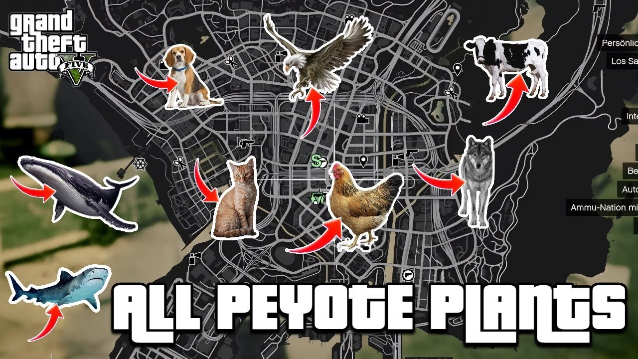 グランド・セフト・オート5 GTA 5 - All 27 Peyote Plants Location Guide - Play as an animal
