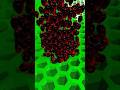 Corn face ball falling into grid#3danimation#satisfying#shortsfeed