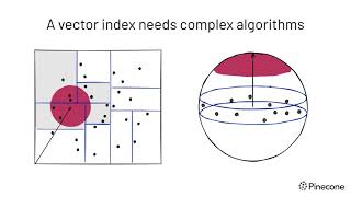 The Rise of Vector Data