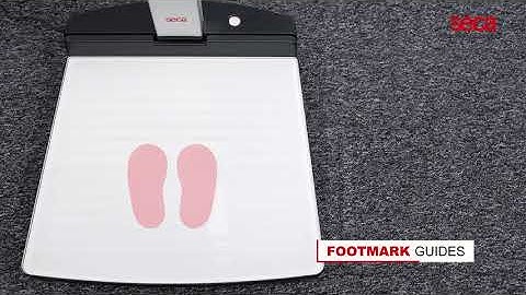 seca 286 Ultrasonic Measuring Station | Voice Guidance & EMR Integration for Accurate Measurements