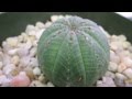 REEL Gardening - SEED Winner 2010, South Africa - YouTube