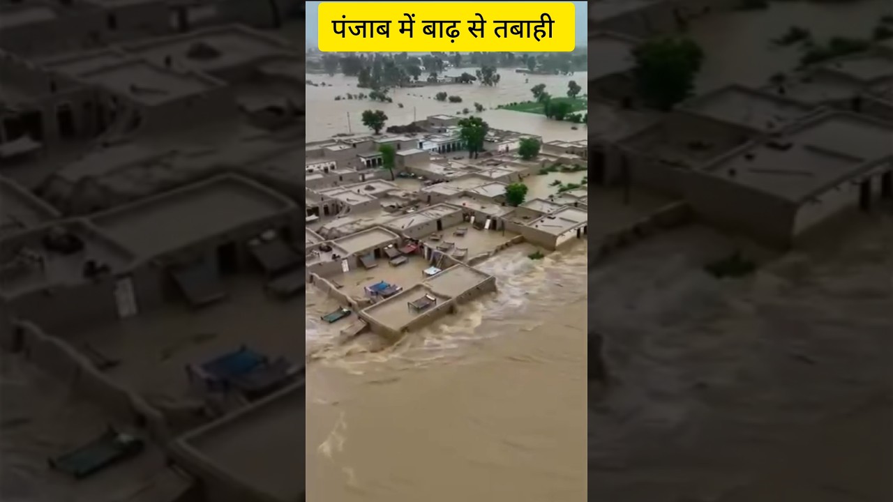 😱Heavy rain😭 🌧️ in punjab 