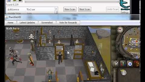 succefully DUPE items in pwnxile!!!.avi