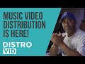 Make Money from Your Music Videos Using DistroVid