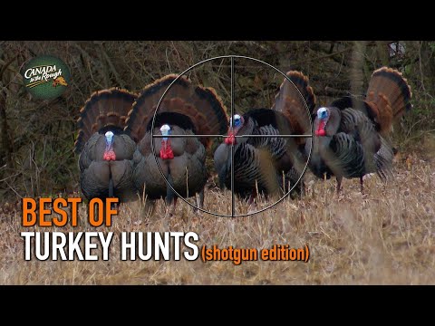 30 Gobbler Hunts in 5 Minutes! (ULTIMATE Turkey Hunting Compilation) | BEST OF