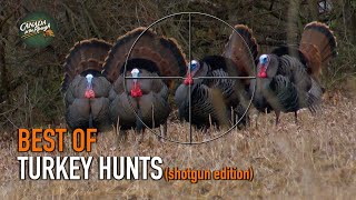 30 Gobbler Hunts In 5 Minutes Ultimate Turkey Hunting Compilation Best Of