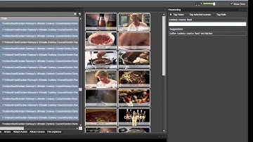 Video File Management in Fast Video Cataloger 3.5